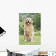 Golden Retriever Wall Decal