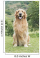 Golden Retriever Wall Decal
