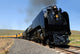 Union Pacific 844 Train Wall Decal