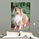 Shetland Sheepdog up Wall Decal
