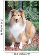 Shetland Sheepdog up Wall Decal