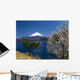 Fuji and Fist Wall Decal