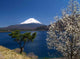 Fuji and Fist Wall Decal