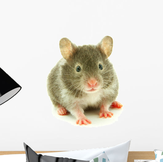 Hamster Wall Decal