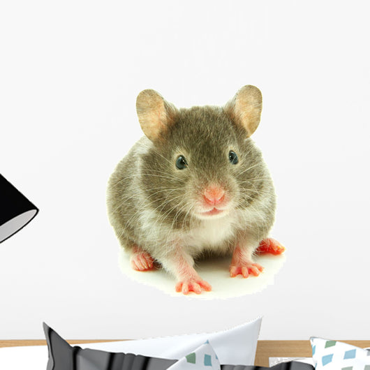 Hamster Wall Decal