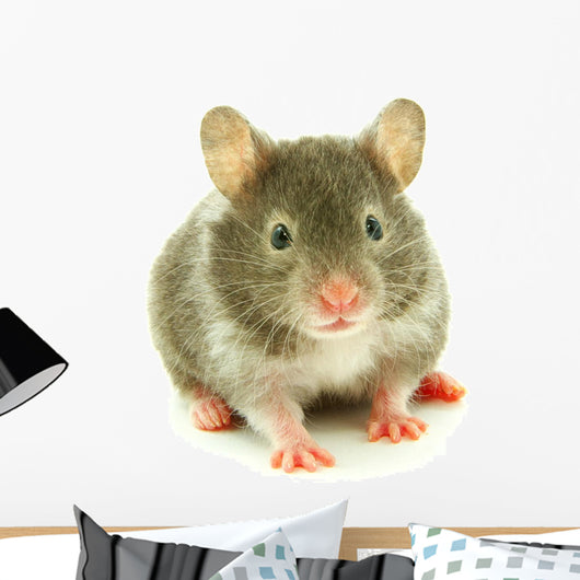 Hamster Wall Decal