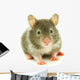 Hamster Wall Decal