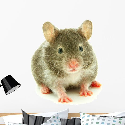 Hamster Wall Decal