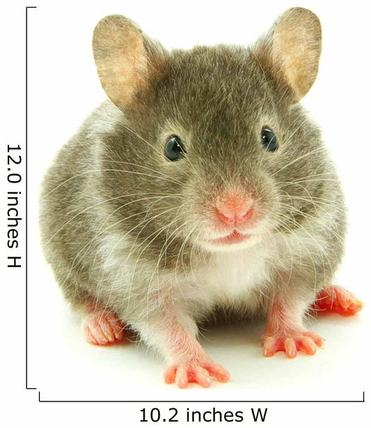 Hamster Wall Decal