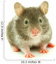Hamster Wall Decal