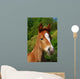 Little Horse Wall Decal