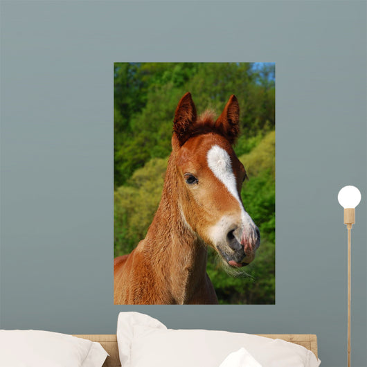 Little Horse Wall Decal