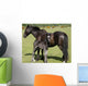 Wild Pony Foal Wall Decal