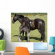 Wild Pony Foal Wall Decal