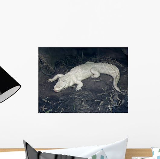Albino Alligator Wall Decal