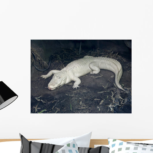 Albino Alligator Wall Decal