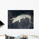 Albino Alligator Wall Decal