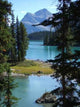 Spirit Island Wall Decal Design 2