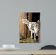 Herd Pet Goats Wall Decal