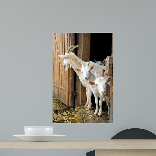 Herd Pet Goats Wall Decal