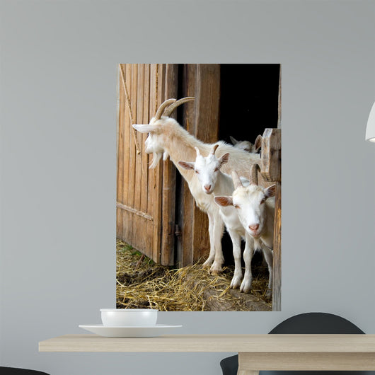 Herd Pet Goats Wall Decal