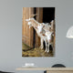 Herd Pet Goats Wall Decal