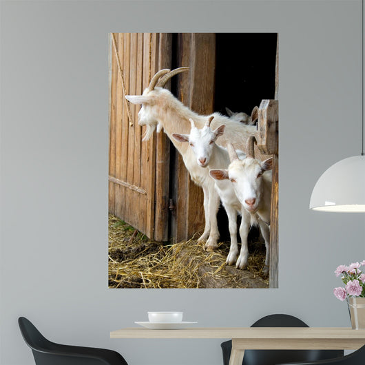 Herd Pet Goats Wall Decal