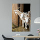 Herd Pet Goats Wall Decal