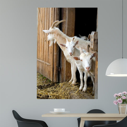 Herd Pet Goats Wall Decal