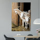Herd Pet Goats Wall Decal