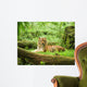 Tiger Resting Safari Uganda Wall Decal