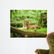 Tiger Resting Safari Uganda Wall Decal