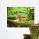 Tiger Resting Safari Uganda Wall Decal
