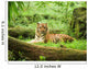 Tiger Resting Safari Uganda Wall Decal