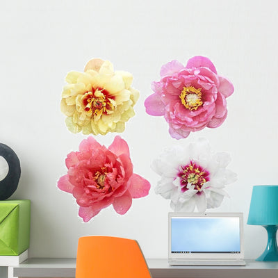 Four Peonies Peony Flowers Wall Decal Sticker Set shown on a wall