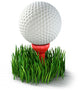 Golf Ball Grass Tee Wall Decal
