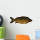 Common Carp Wall Decal