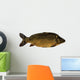 Common Carp Wall Decal