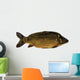 Common Carp Wall Decal