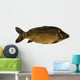 Common Carp Wall Decal
