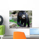 Sun Bear Helarctos Malayanus Wall Decal