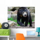 Sun Bear Helarctos Malayanus Wall Decal