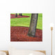 Green Grass Public Park Wall Decal