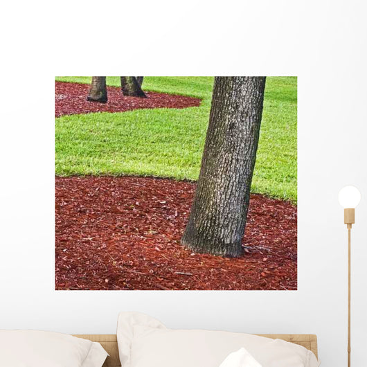 Green Grass Public Park Wall Decal