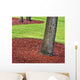 Green Grass Public Park Wall Decal