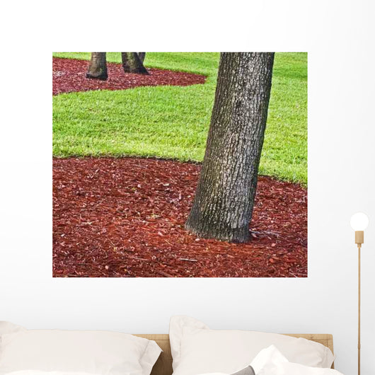 Green Grass Public Park Wall Decal