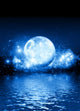 Blue Moon Wall Decal