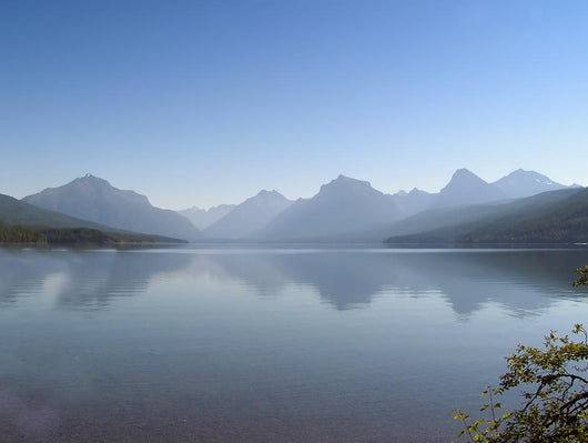 Lake Macdonald Wall Decal