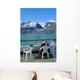 Glacier Bay Sightseeing Wall Decal