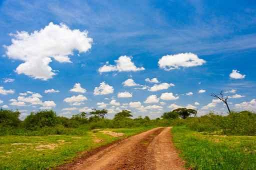 Dirt Road Wall Decal Design 1